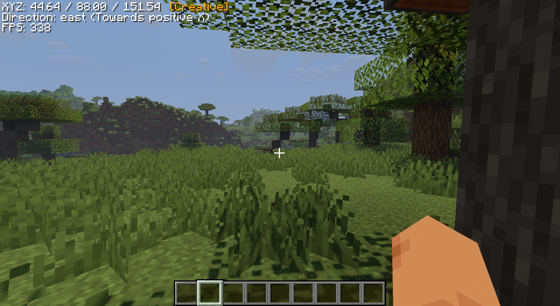 Torch with the built-in shader pack in a savanna